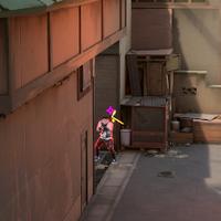 Dataset Image