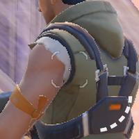 Dataset Image