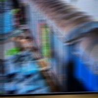Dataset Image