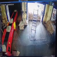 Dataset Image
