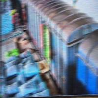 Dataset Image