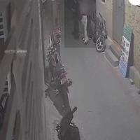 Dataset Image