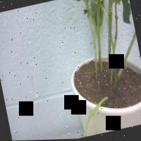 Dataset Image