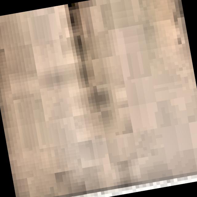 Dataset Image