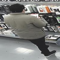 Dataset Image