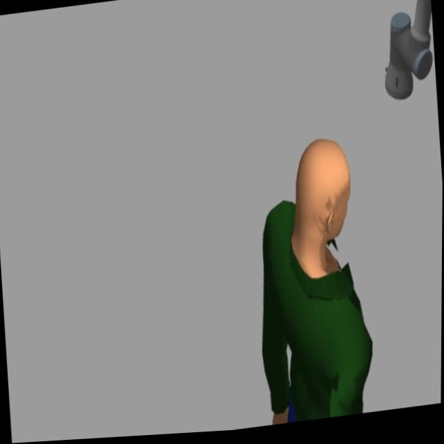 Dataset Image