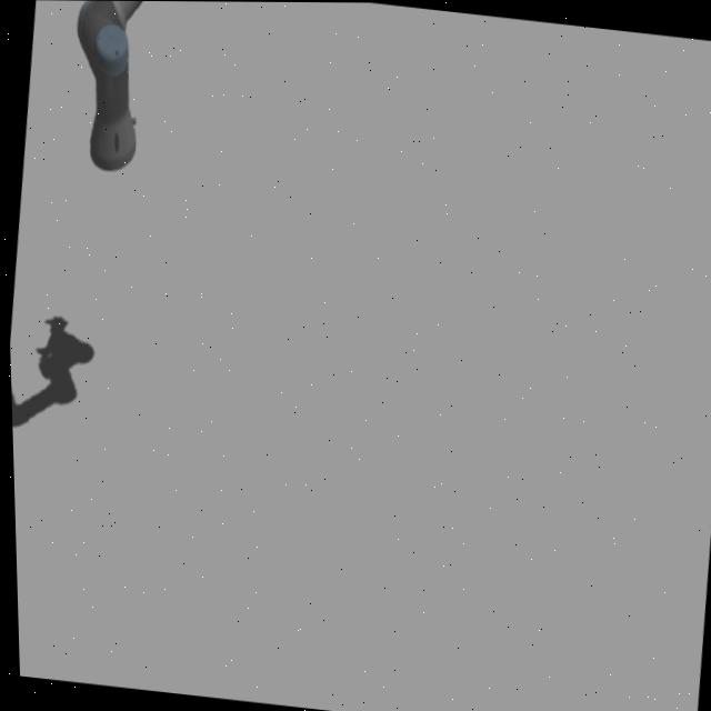 Dataset Image