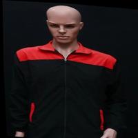 Dataset Image