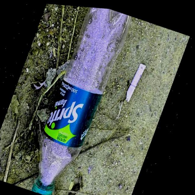 Dataset Image