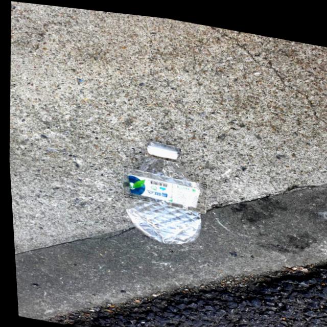 Dataset Image