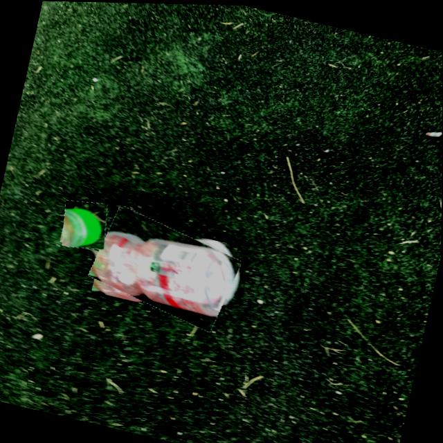 Dataset Image