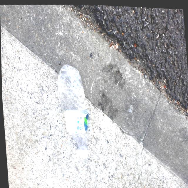 Dataset Image