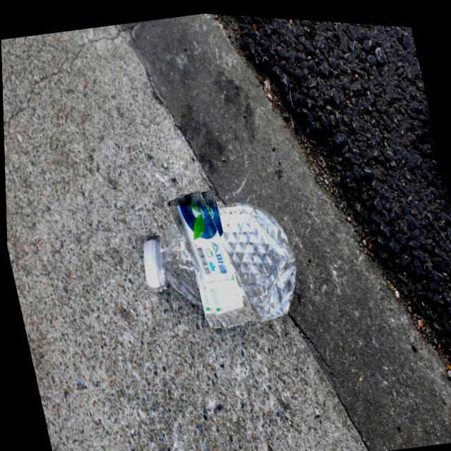 Dataset Image
