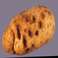 Dataset Image