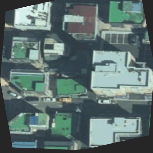 Dataset Image