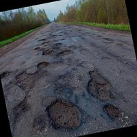 Dataset Image