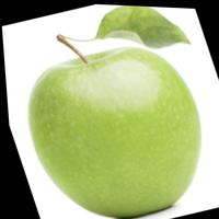 Dataset Image