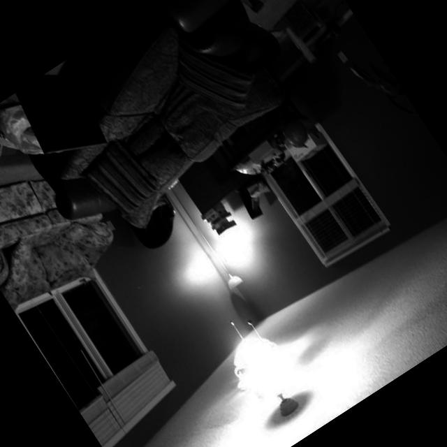 Dataset Image