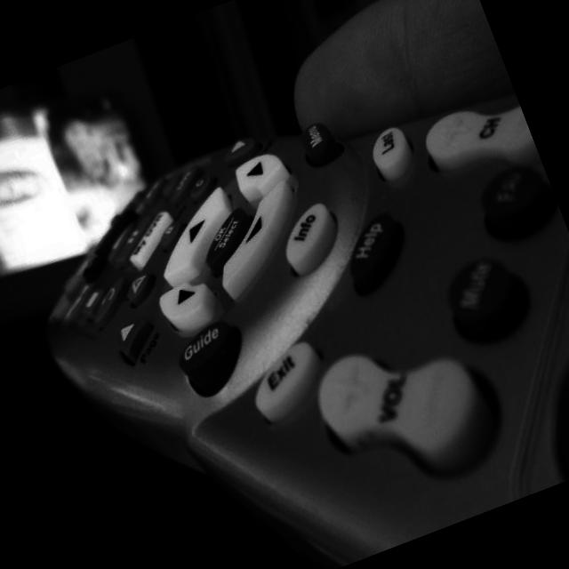 Dataset Image