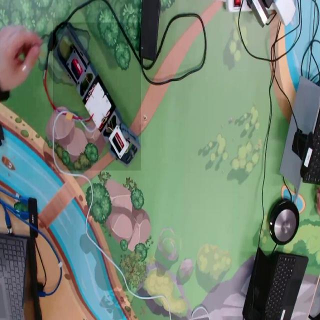 Dataset Image
