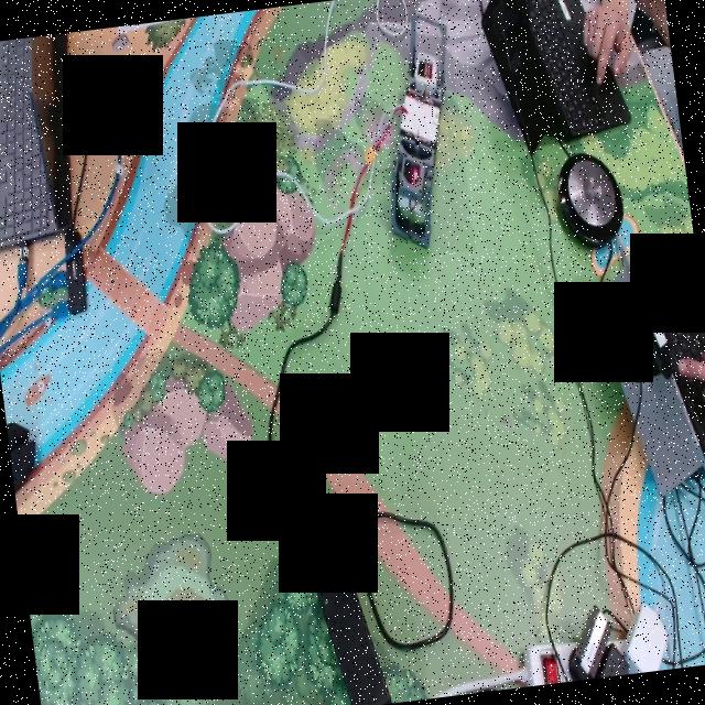 Dataset Image