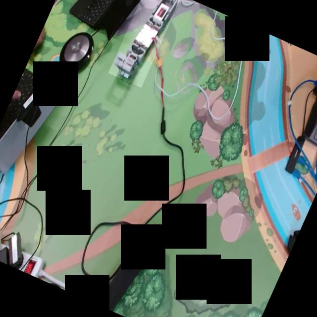 Dataset Image