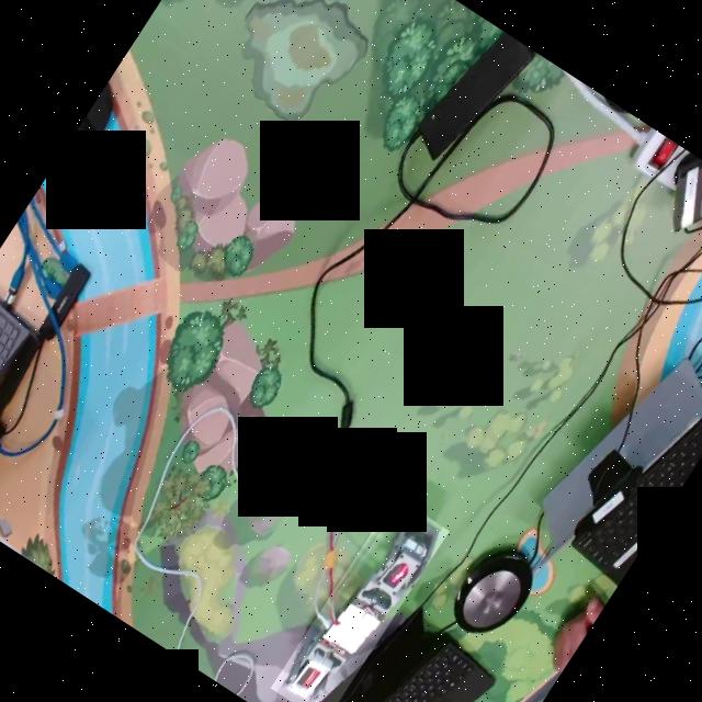 Dataset Image