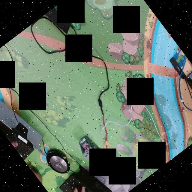 Dataset Image