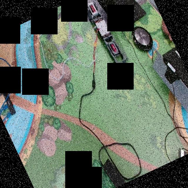 Dataset Image