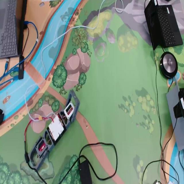 Dataset Image