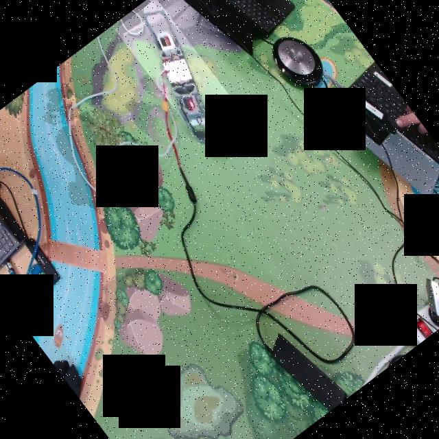 Dataset Image