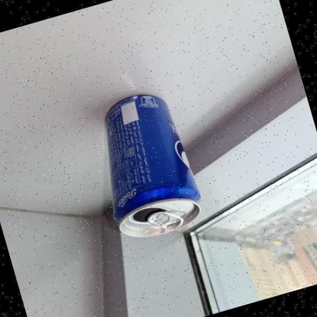 Dataset Image