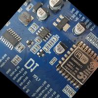 Dataset Image