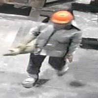 Dataset Image