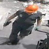 Dataset Image