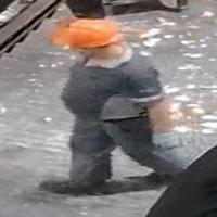 Dataset Image
