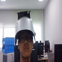 Dataset Image