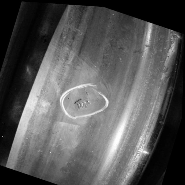 Dataset Image