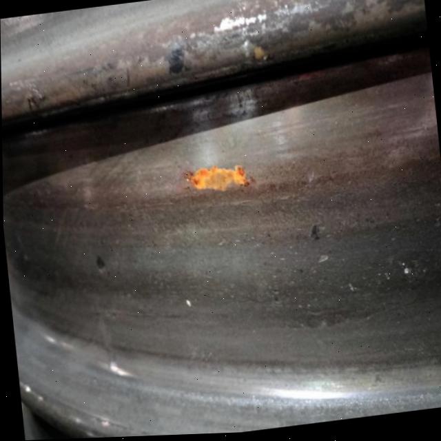 Dataset Image