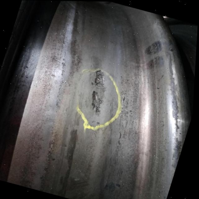 Dataset Image