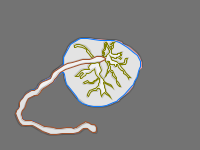 Annotation Visualization