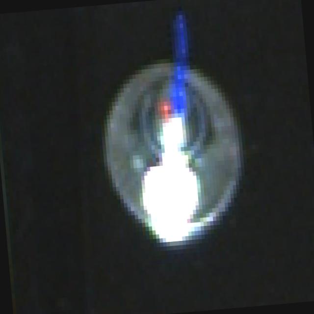 Dataset Image