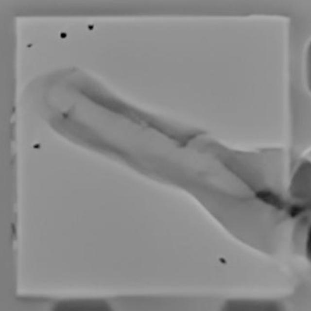 Dataset Image