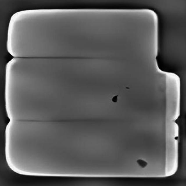 Dataset Image