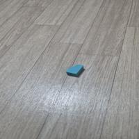 Dataset Image