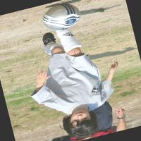 Dataset Image