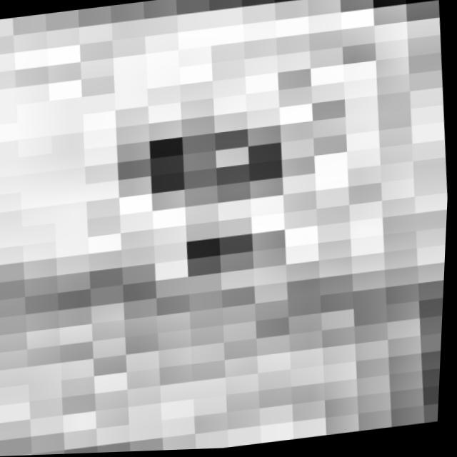 Dataset Image