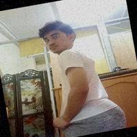 Dataset Image