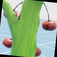 Dataset Image