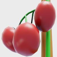 Dataset Image